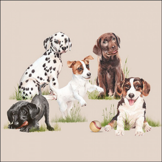Playing puppies papírszalvéta 33x33cm, 20db-os