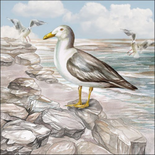 Seagull On The Shore papírszalvéta 33x33cm, 20db-os