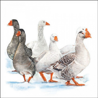 Winter geese papírszalvéta 33x33cm, 20db-os