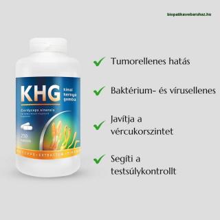 Kínai hernyógomba kivonat - KHG