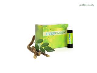 Sunrider Evergreen – Klorofillbomba
