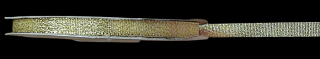 LUREX. Arany vagy ezüst lurex szalag 6 mm, 35 Ft/méter (Lurex)