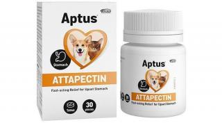 Aptus Attapectin tabletta 30db