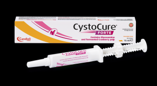 Cystocure Forte paszta 15ml