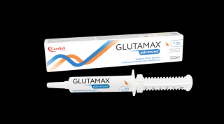Glutamax Advanced májvédő paszta 30ml