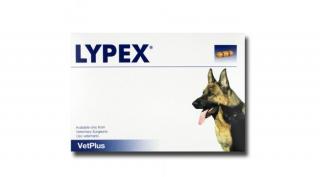 Lypex hasnyálmirigy támogató kapszula kutyáknak 60db