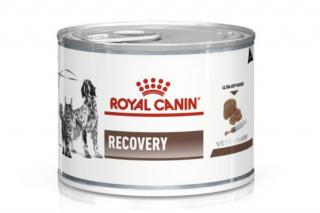 Royal Canin Canine/Feline Recovery Ultra Soft Mousse 195g