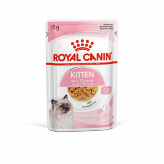 Royal Canin Kitten Jelly zselés nedveseledel – 12x85g