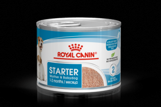 Royal Canin Wet Starter Mousse 195g