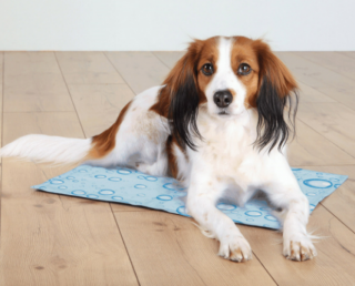 Trixie Cooling Mat Drops 40x30cm - S