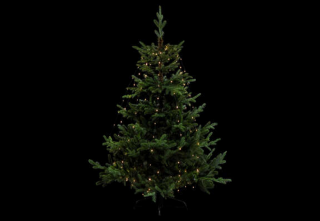 Kültéri LED Fényfüzér, Fekete, 220 cm, 232 LED
