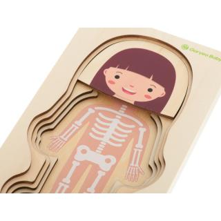 Fa puzzle - Emberi test Egyéb változatok: Lány