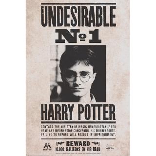 Harry Potter - poszter - Undesirable n°1