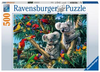 Koalák a fán - kirakó - 500 darabos puzzle