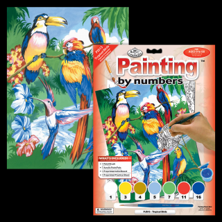 Számozott kifestő A4 formátumban - Trópusi madarak