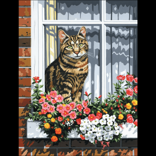 Számozott vásznas kifestő - Macska az ablakban