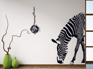 Falmatrica Zebra  100x95 cm