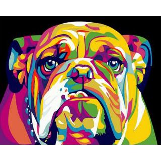 Festés számok szerint kép kerettel  Színes Bulldog  40x50 cm