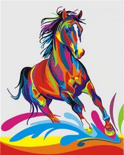 Festés számok szerint kép kerettel  Színes ló  40x50 cm