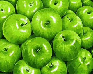 Festés számok szerint kép kerettel  Zöld alma  40x50 cm