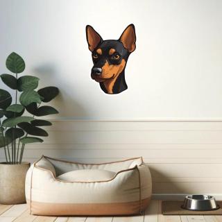 Matrica Miniatűr pinscher 60cm