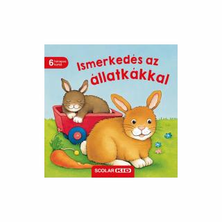 Ismerkedés az állatkákkal
