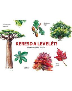 Keresd a levelét! – Memóriajáték fákkal