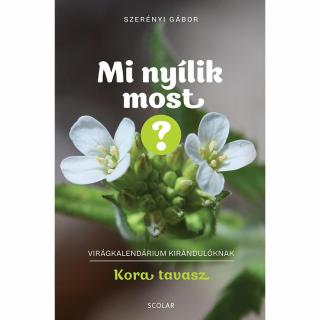 Mi nyílik most? – Kora tavasz