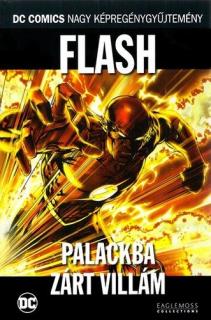 Flash: Palackba zárt villám (DC 67.) UTOLSÓ DARABOK