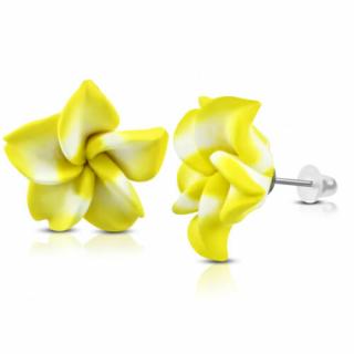 Sárga-fehér pluméria virág fülbevaló