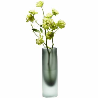 Váza NOBIS 20 cm, zöld, üveg, Philippi