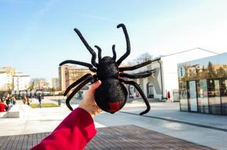 RC távirányítós valósághű pók, LED világító szemek