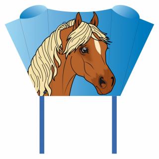 Sárkány - Sleddy Pony