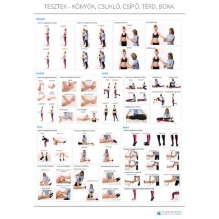 Feövenyessy anatómiai poszter - A könyök, csukló, csípő, térd, boka leggyakoribb tesztjei  70 x 100 cm | HU
