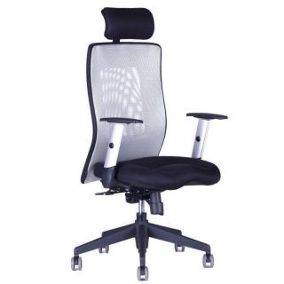 OfficePro Calypso XL ergonomikus irodai szék Fejtámla: fejtámlával együtt, Szín: szürke