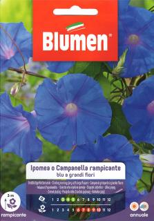 Blumen Virág - Futó kék hajnalka