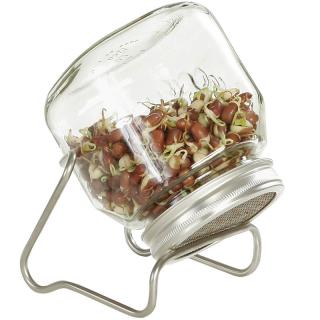 Eschenfelder Set I 750 ml-es csíráztató üveg