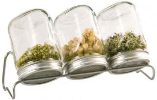 Eschenfelder Set III 750 ml-es csíráztató üveg