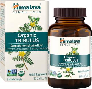 Himalaya Organic Tribulus, Ground Anchor, 60 kapszula  Étrend-kiegészítő