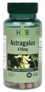 Holland & Barrett Astragalus (Kozinec), 470 mg, 90 kapszula