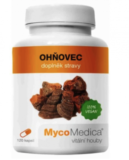 MycoMedica Fireweed, kivonat, 400 mg, 120 gyógynövény kapszula