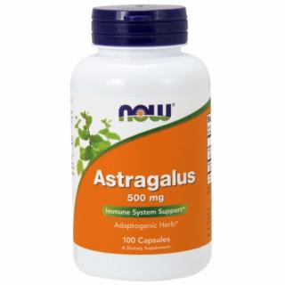 NOW Astragalus, 500 mg, 100 kapszula