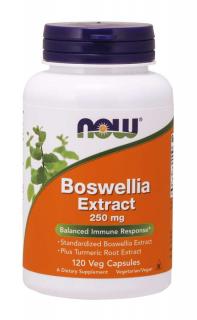NOW Boswellia Extrakt + kurkuma kivonat, 250 mg, 120 vegetáriánus kapszulában