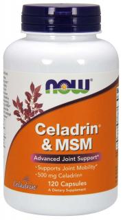 NOW Celadrin & MSM  500 mg, 120 kapszula