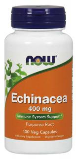 NOW Echinacea, 400 mg, 100 növényi kapszulában