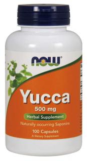 NOW Yucca, 500 mg, 100 kapszula