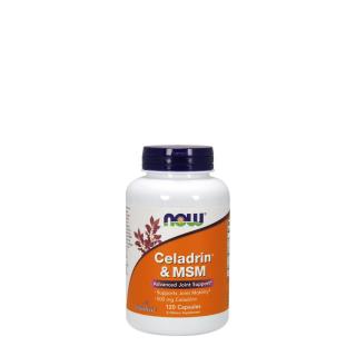 Fejlett ízületvédő komplex, Now Celadrin &amp; MSM 500 mg, 120 kapszula
