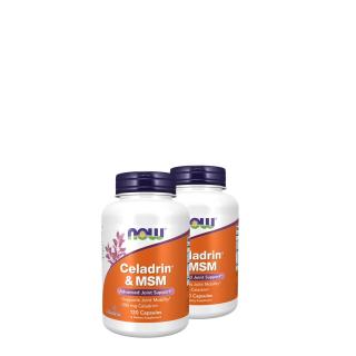 Fejlett ízületvédő komplex, Now Celadrin &amp; MSM 500 mg, 2x120 kapszula