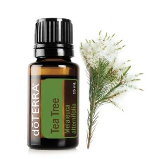 doTERRA Tea Tree Illóolaj teafa 15 ml