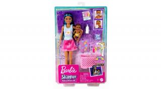 Barbie Skipper: Babysitters INC